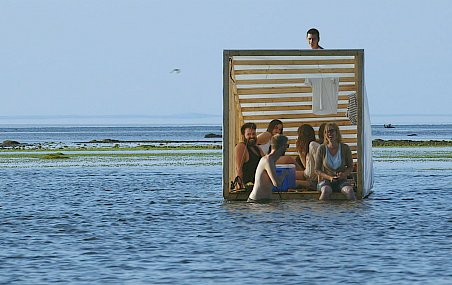 L'île aux oiseaux